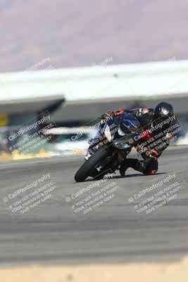 media/Jan-14-2024-SoCal Trackdays (Sun) [[2e55ec21a6]]/Turn 16 Set 2 (1125am)/